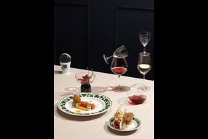 Wein & Kulinarik bei MEISSEN